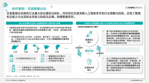 德勤咨詢 人工智能基礎數據服務與軟件開發白皮書